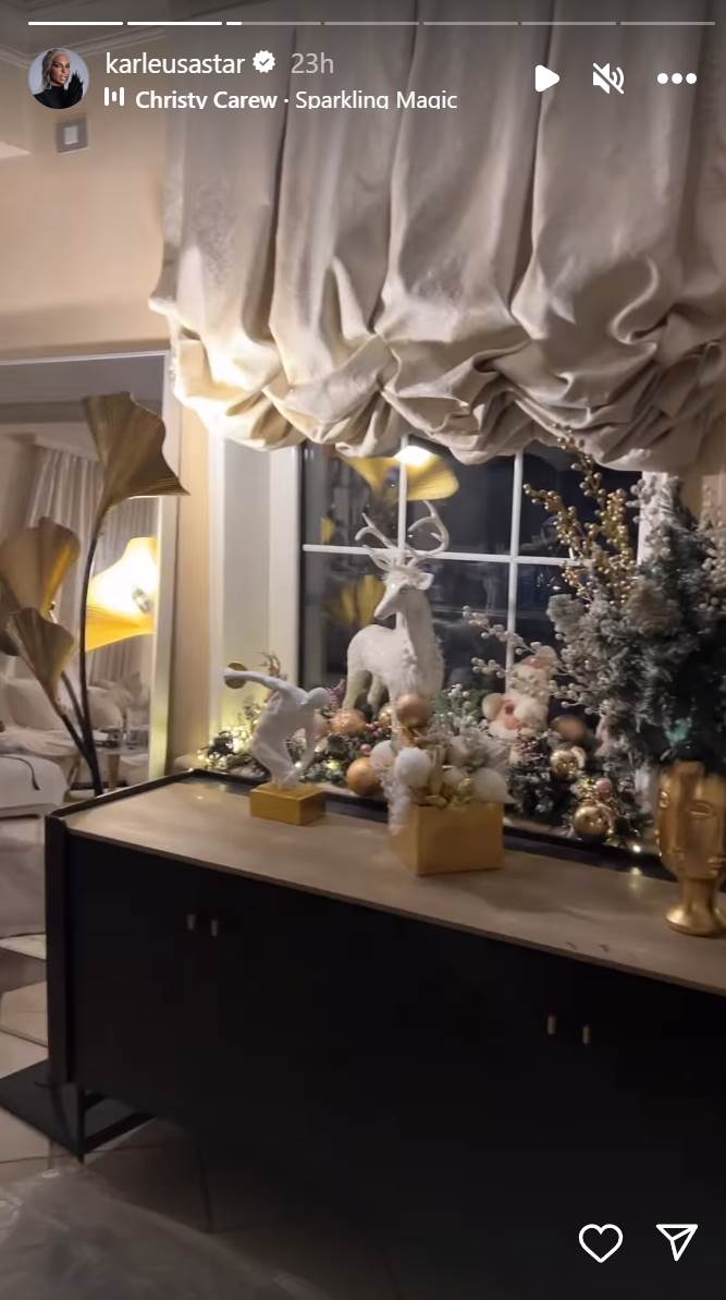 jelena karleuša  (4).png