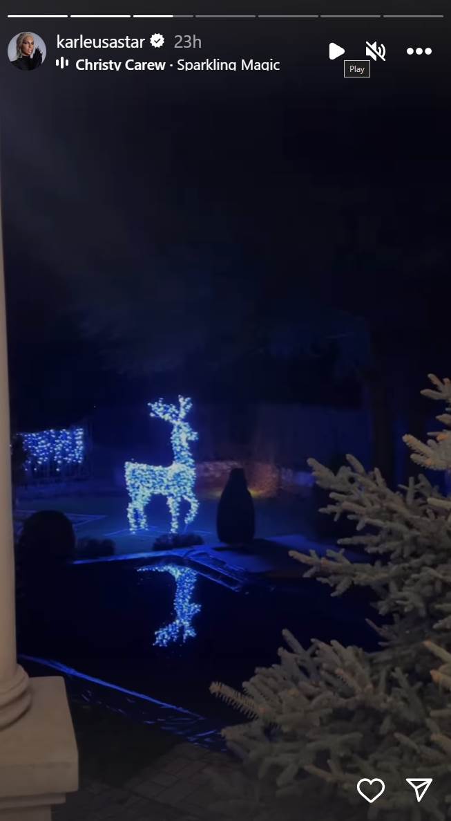 jelena karleuša  (5).png