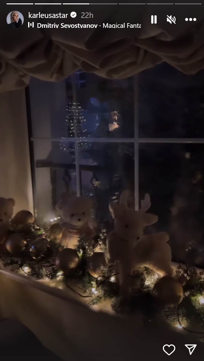 jelena karleuša  (6).png