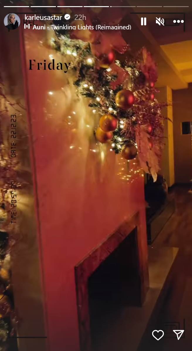 jelena karleuša  (8).png