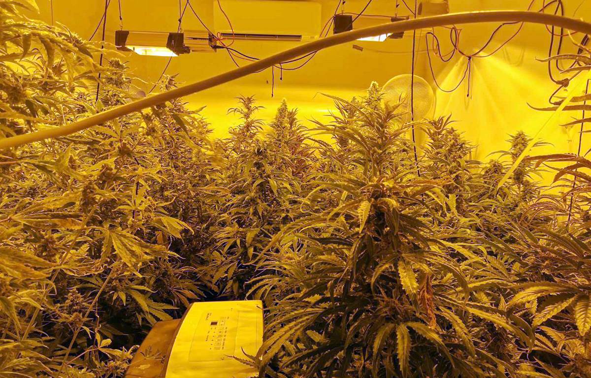 1703348350_01-1 copy.jpg