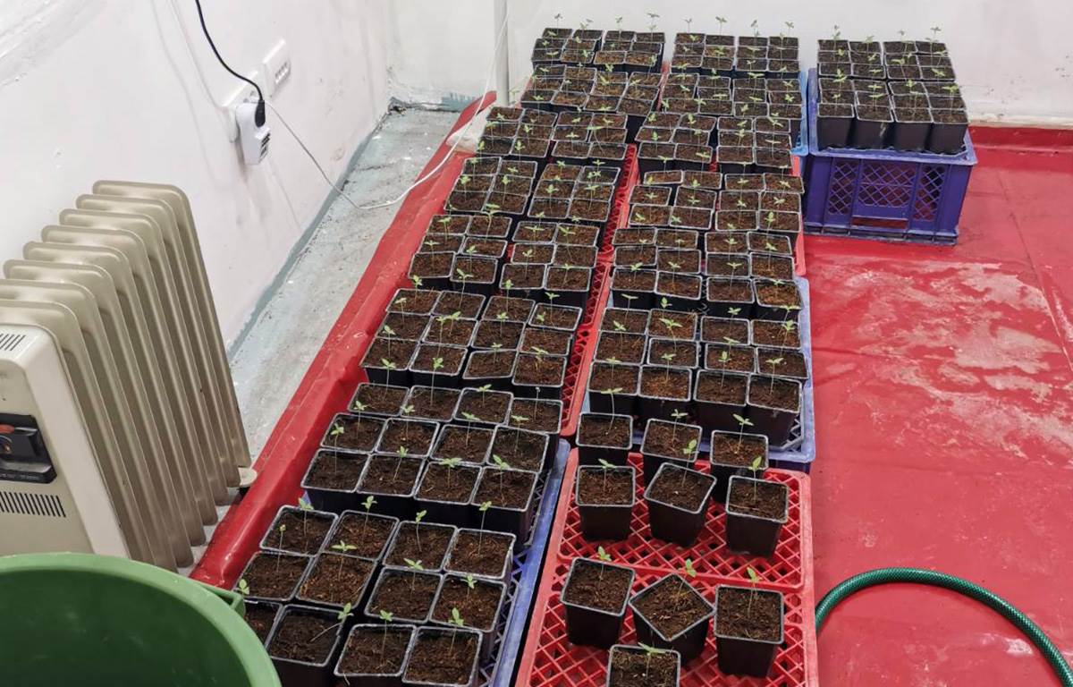 1703348350_03 copy.jpg