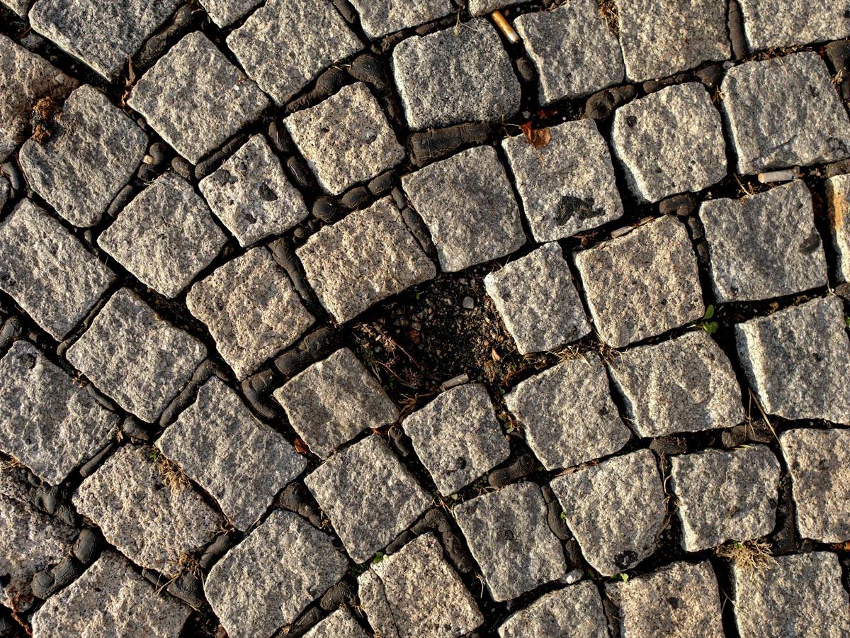 stari_dvor_jutro_nakon_protesta_stefan_Stojanović_ (10).jpg