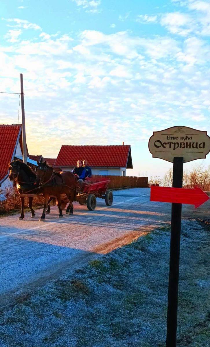 Mladi se vratili na selo 4.jpg