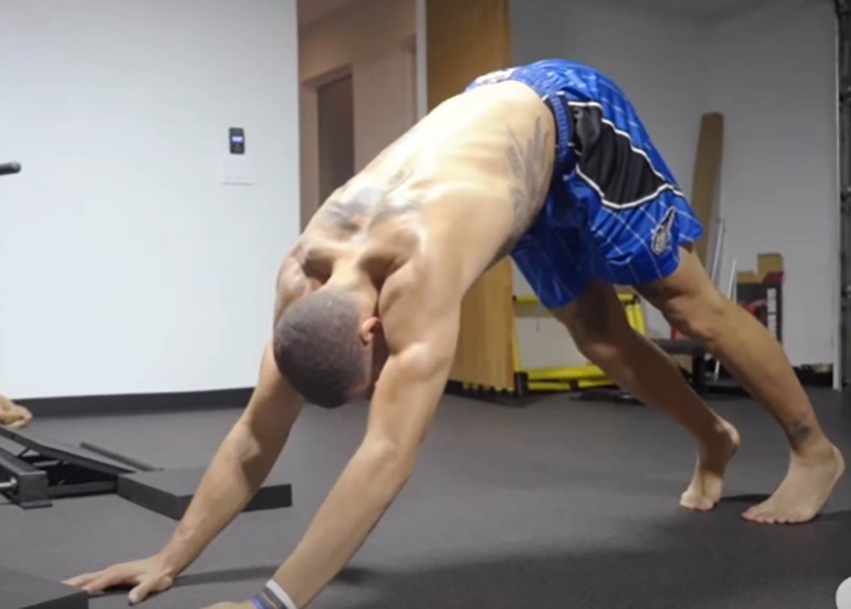 Rotvajler pas izujedao Erona Gordona