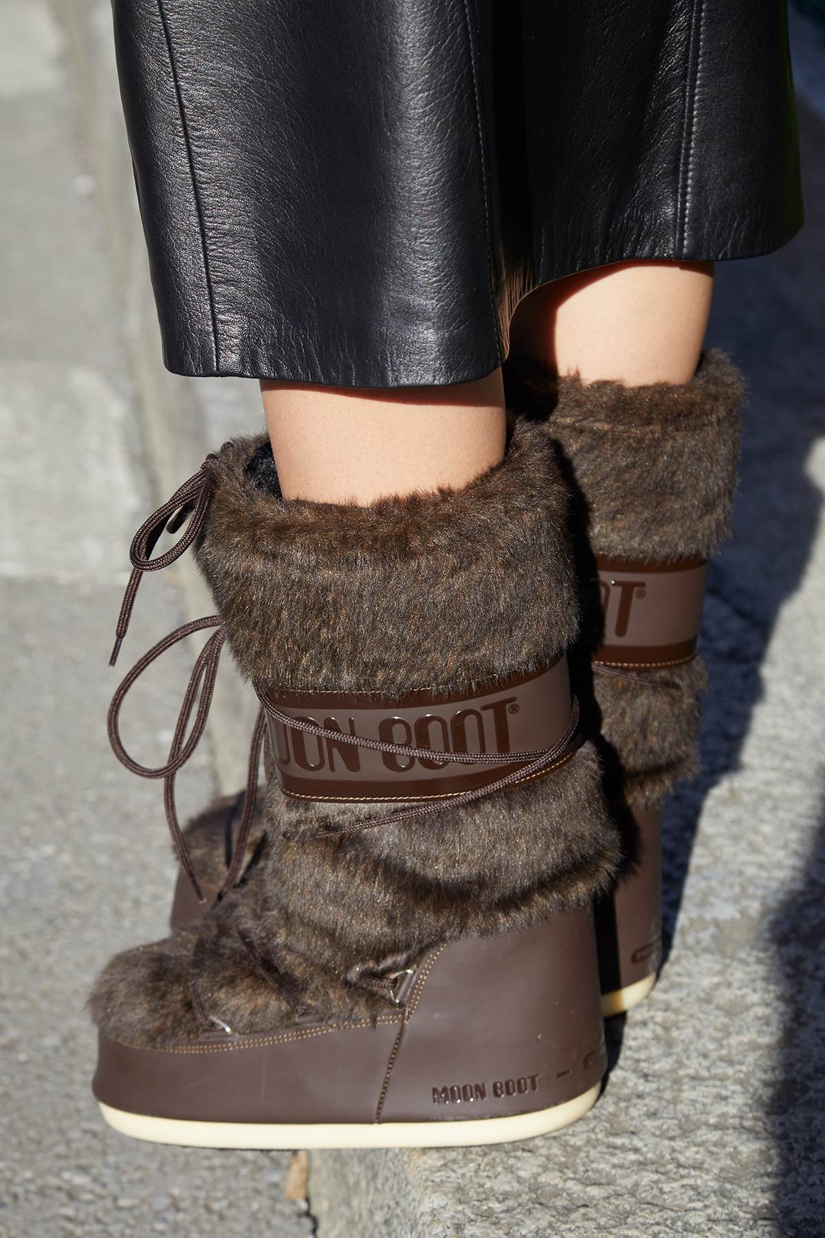 shutterstock_2259512871 copy.jpg