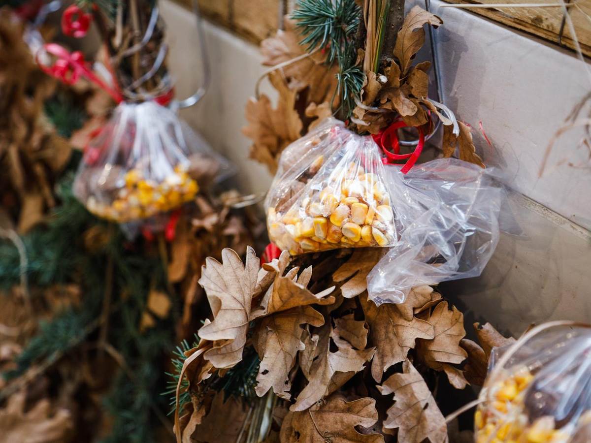 Cene žita i badnjaka na pijacama