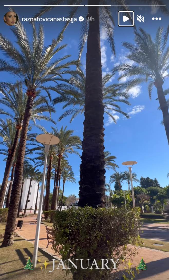 Anastasija Ražnatović.jpg