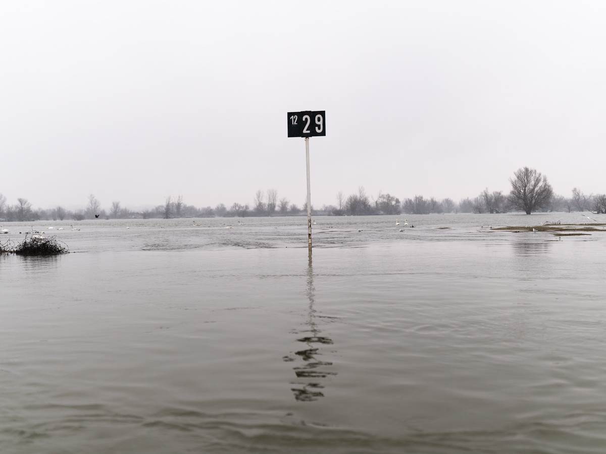 Na Krčedinskoj adi na Dunavu zarobljeno oko 130 životinja