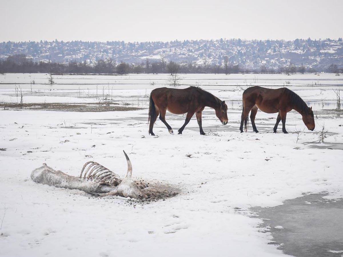 WhatsApp Image 2024-01-09 at 14.33.25_9f874481.jpg