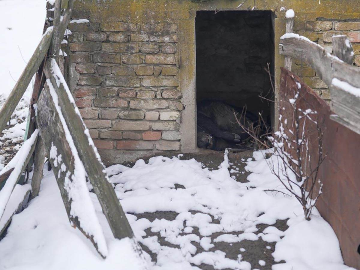 WhatsApp Image 2024-01-09 at 14.33.25_26a265ea.jpg