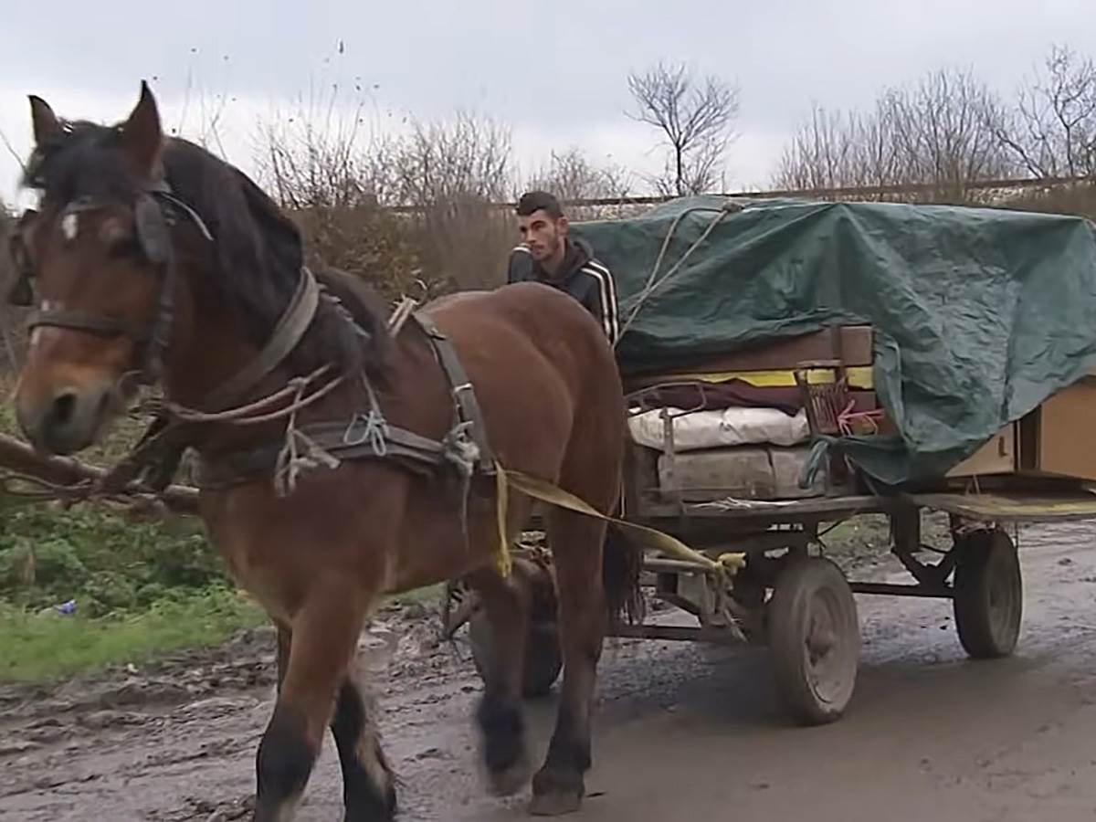 Marko Ljubovićc (3).jpg