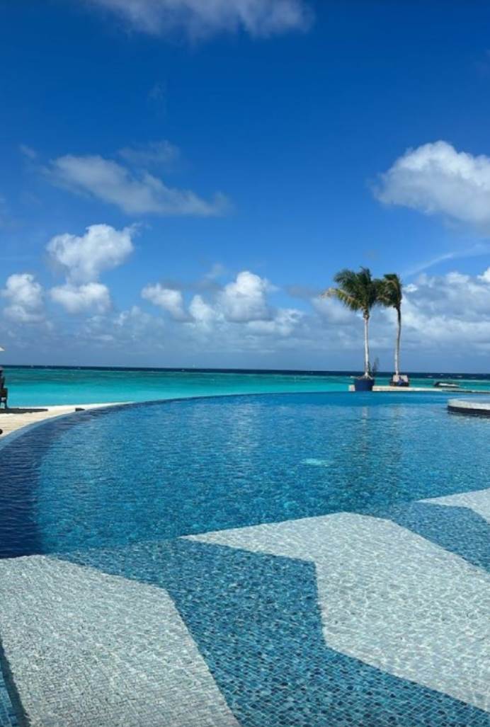 ĐINA DŽINOVIĆ (3).png