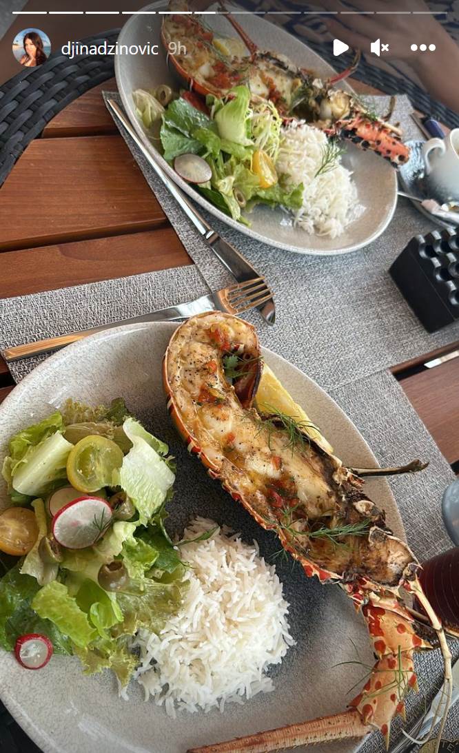 ĐINA DŽINOVIĆ (6).png