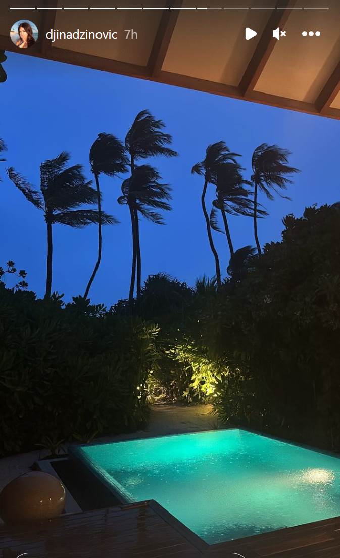 ĐINA DŽINOVIĆ (7).png