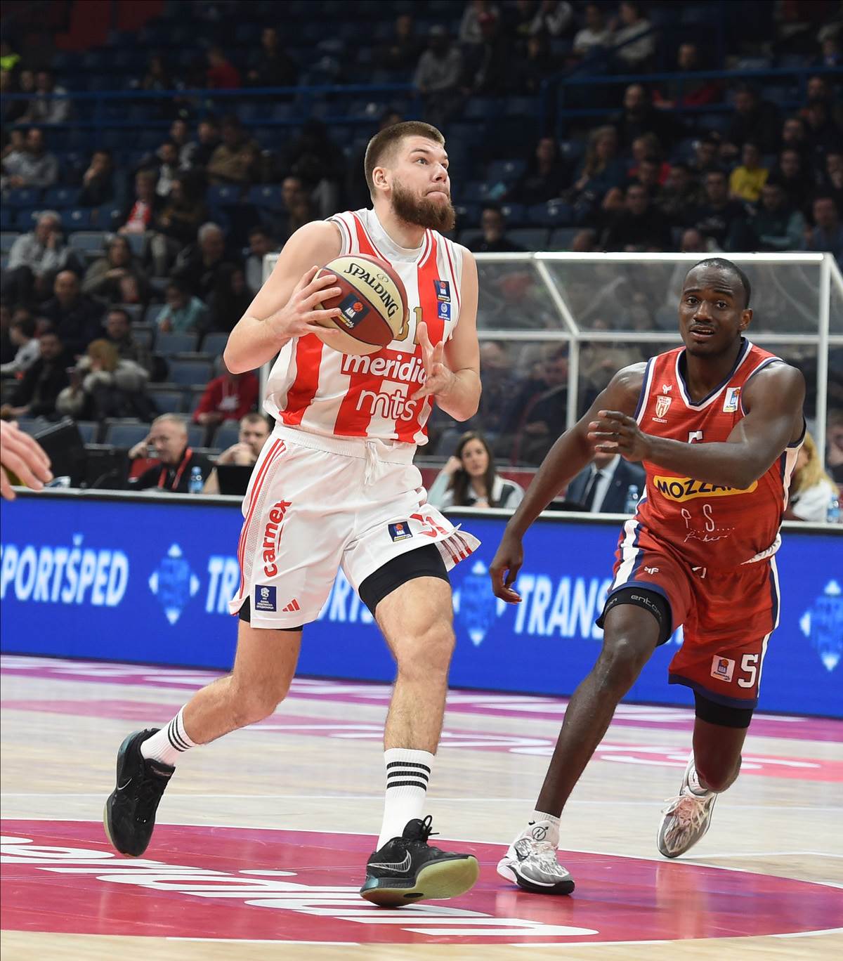 Crvena Zvezda borac Čačak Aba liga (32) copy.jpg