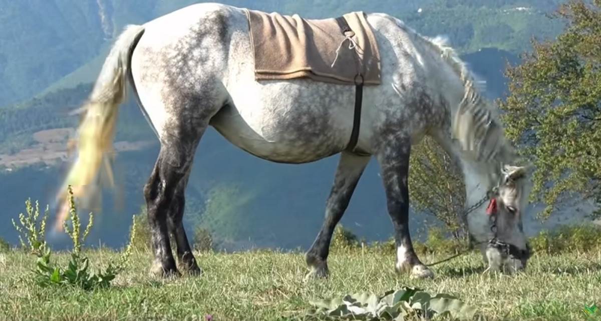 ŽENA GA OSTAVILA SA 7 ERO DJECE ON SE OPET OŽENIO (8).jpg