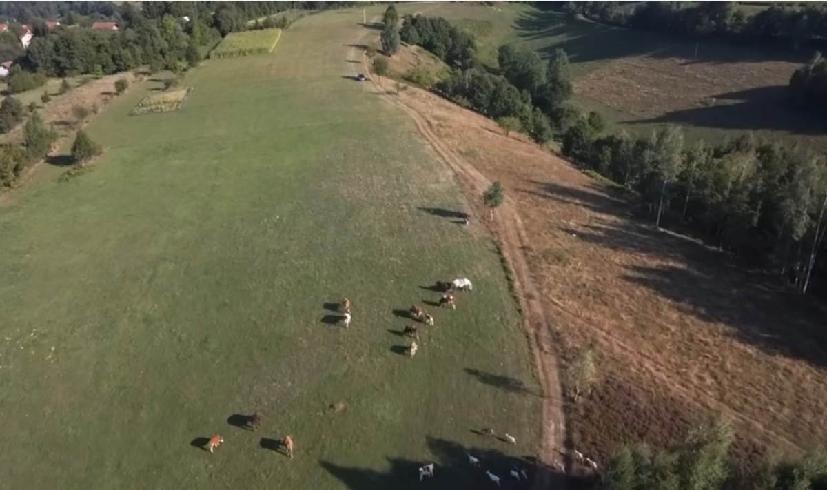ŽENA GA OSTAVILA SA 7 ERO DJECE ON SE OPET OŽENIO (9).jpg