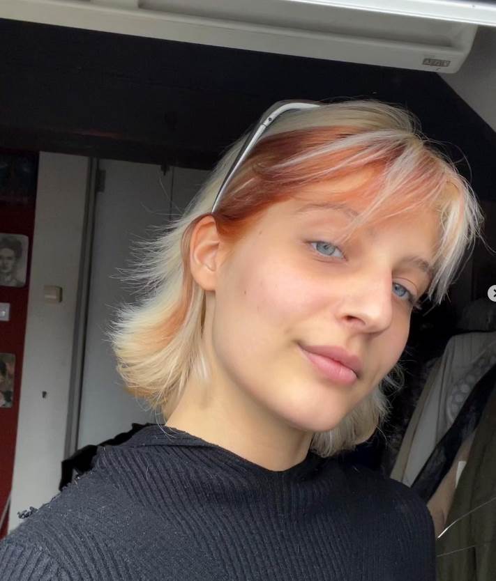 vila pajkić (2).png