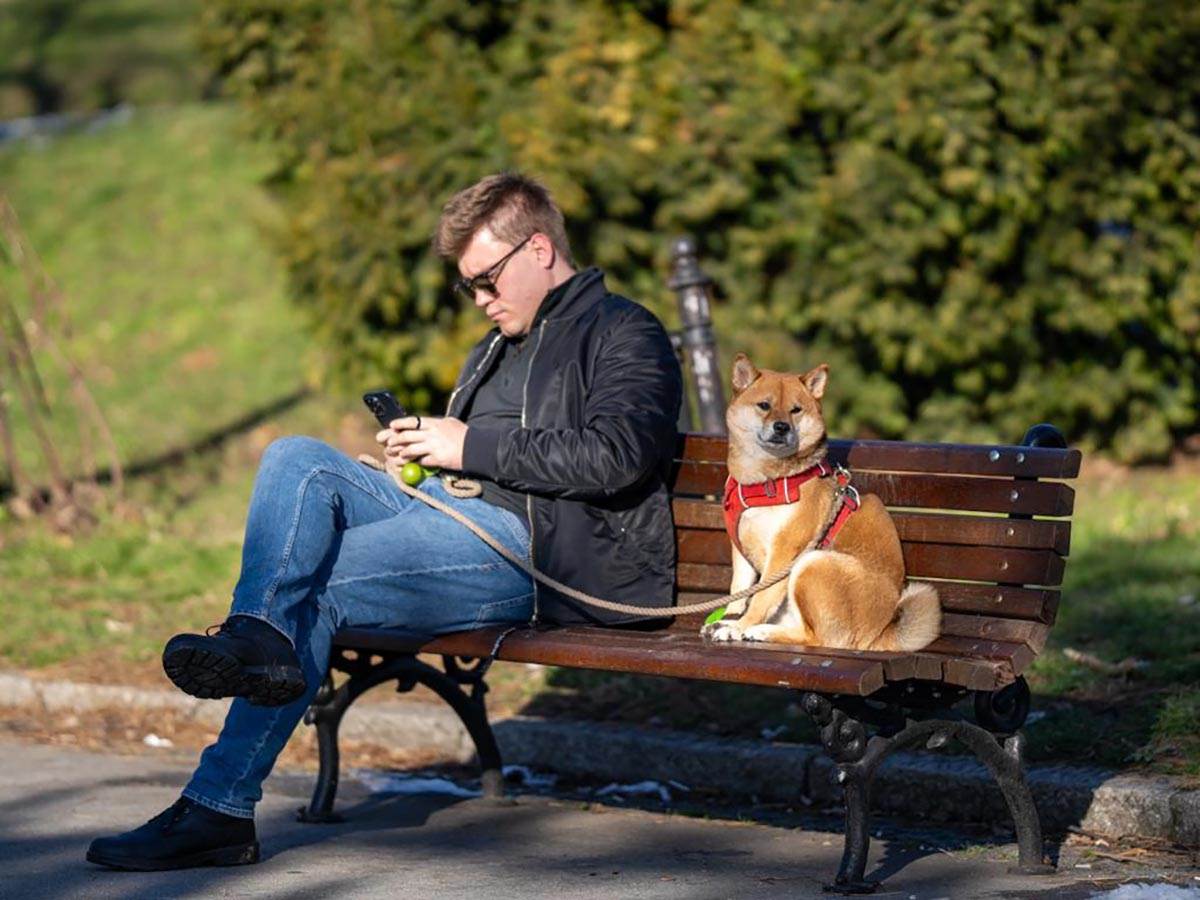 Beograd zima lepo vreme (6).jpg