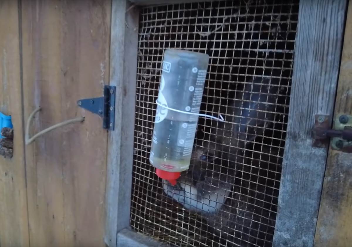 Screenshot 2024-01-25 155111.png