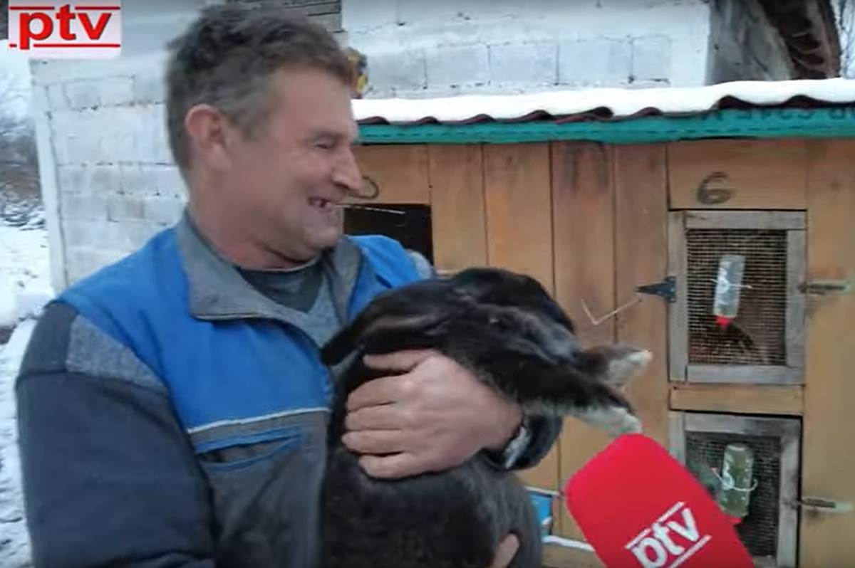 Screenshot 2024-01-25 155101.png