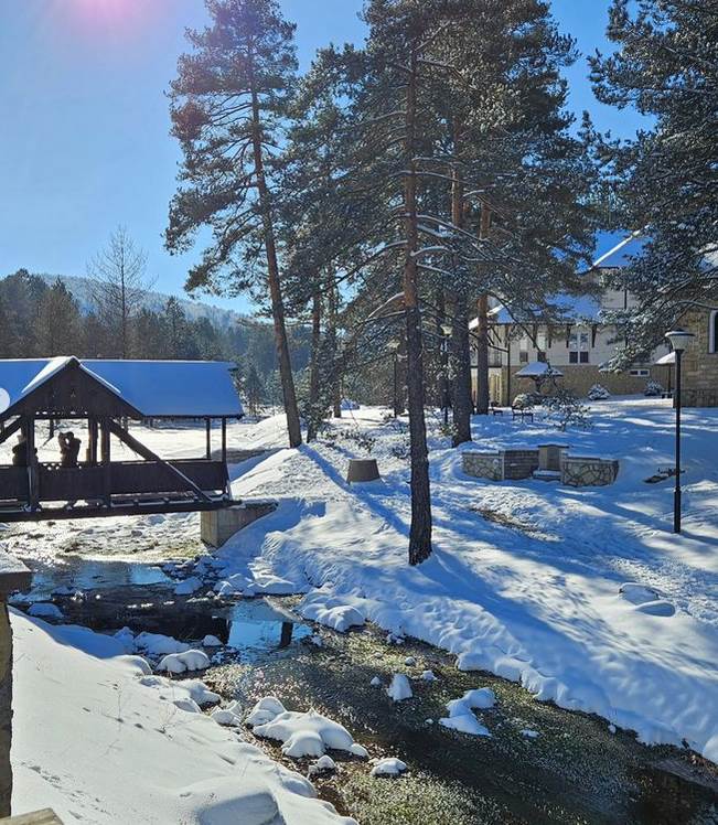 Screenshot 2024-01-26 170957.jpg