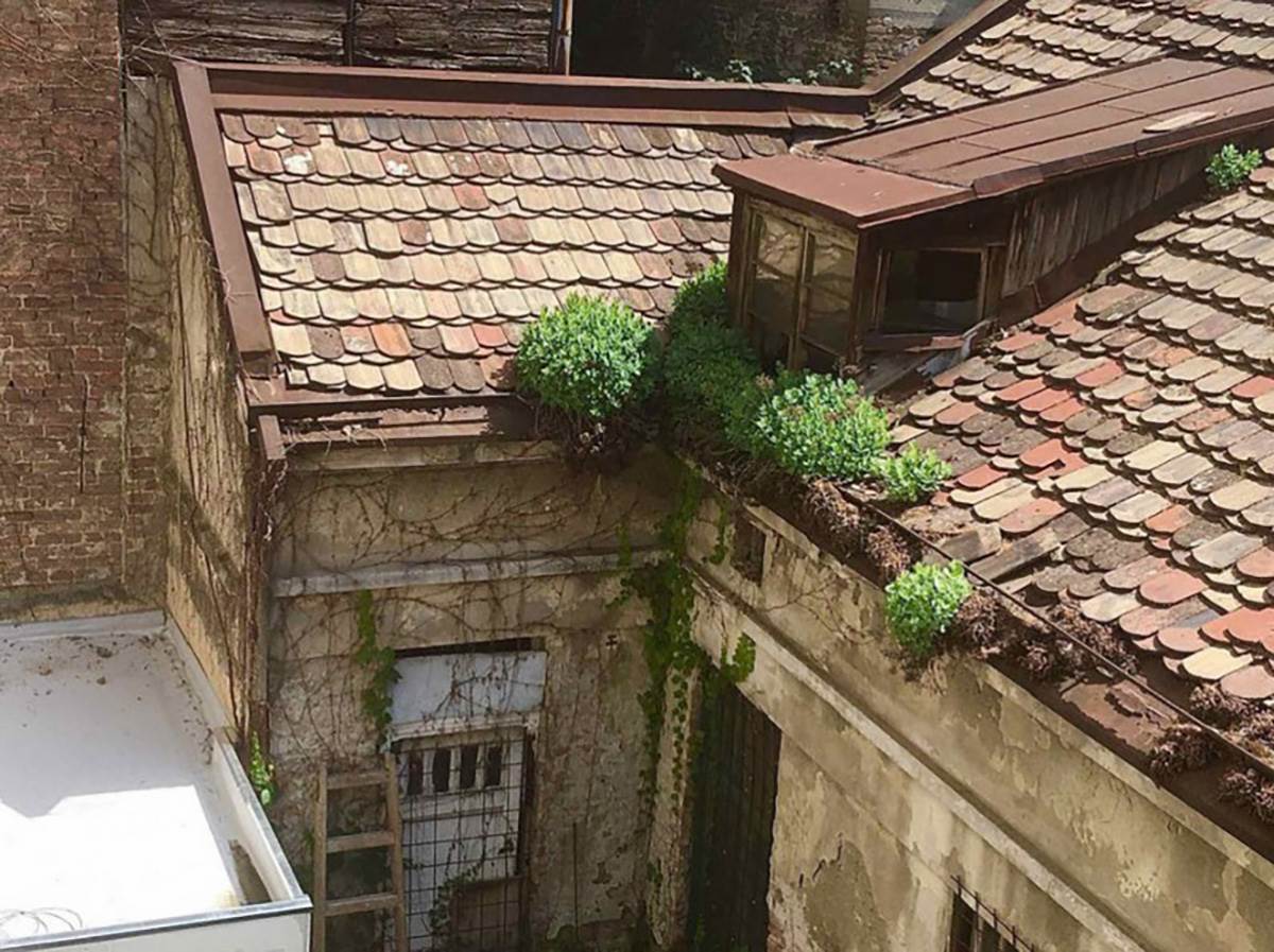 Kamen boje zlata na Dorćolu (14).jpg