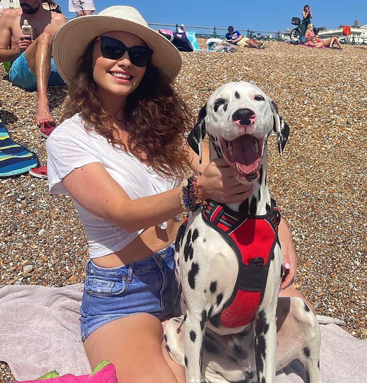 Dzes Impiaci (1).png