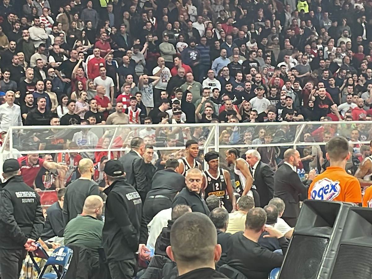 Partitan Crvena Zvezda (2).jpg