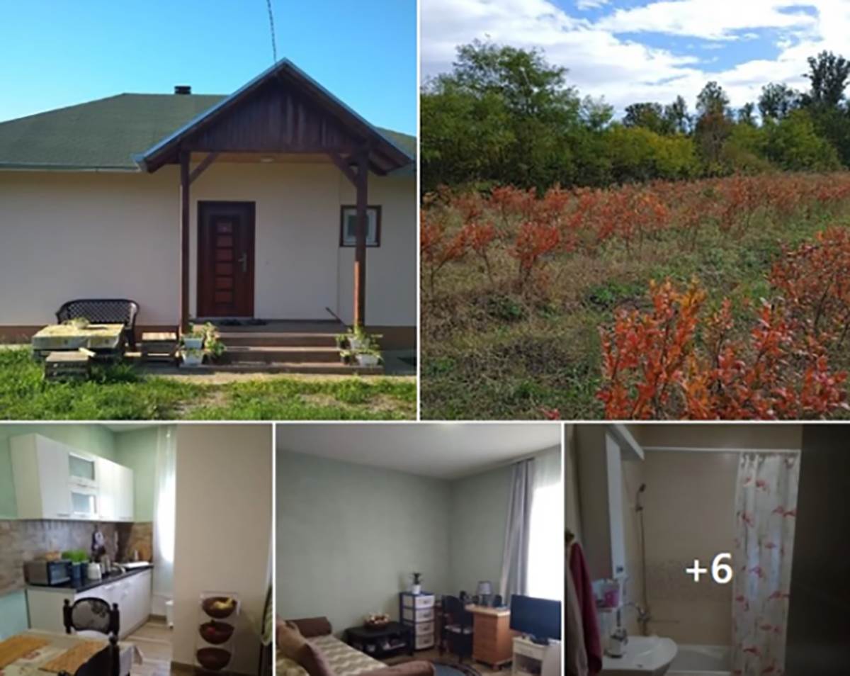 seosko imanje (1).png