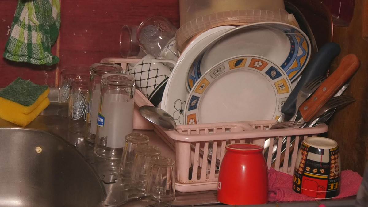 Jelene Mijailović, porodica Mijailović iz Čačka (5).jpg