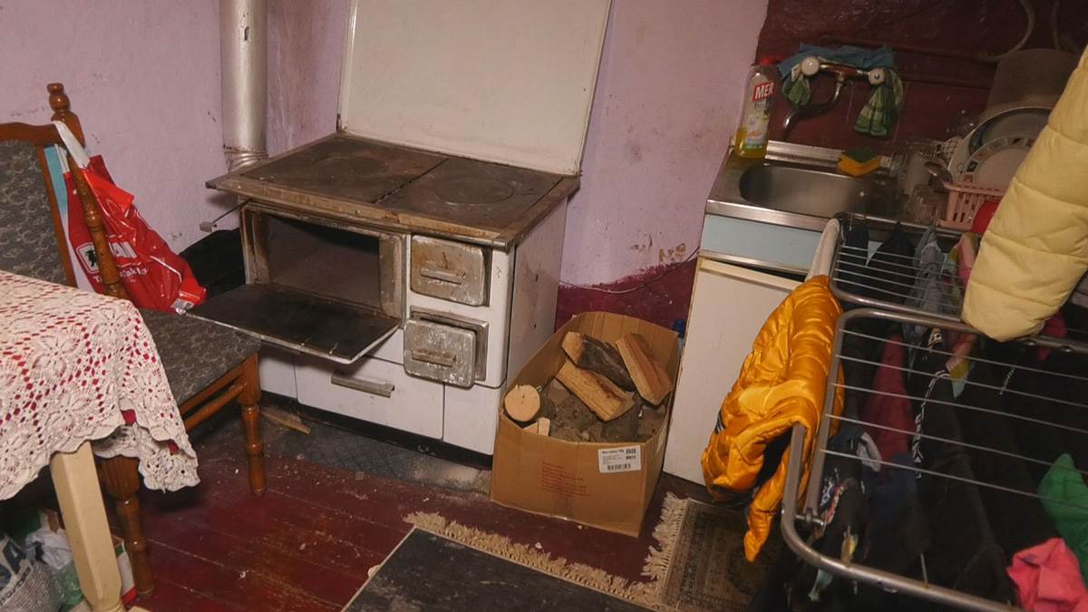 Jelene Mijailović, porodica Mijailović iz Čačka (6).jpg