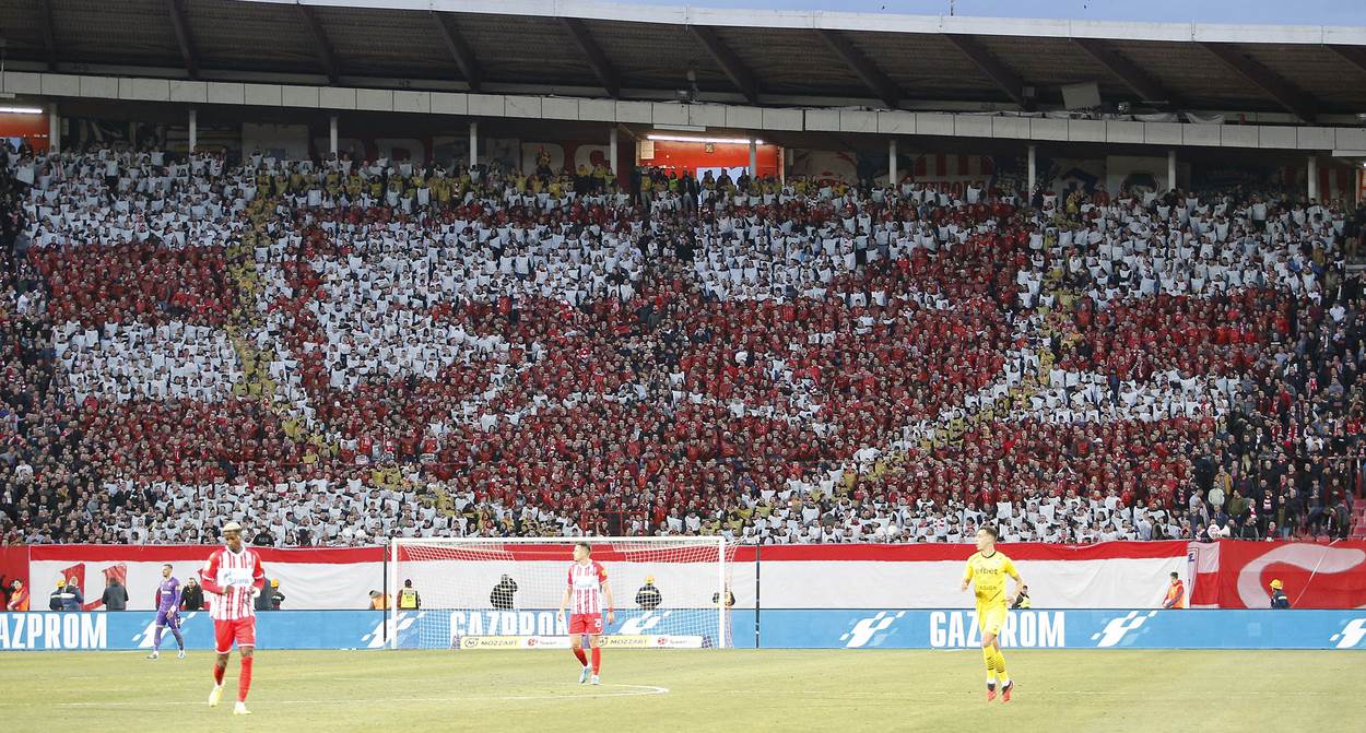 Delije koreografija Crvena zvezda Voždovac