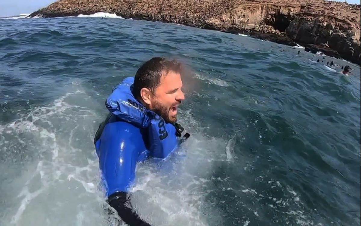 Plivanje sa morskim lavovima