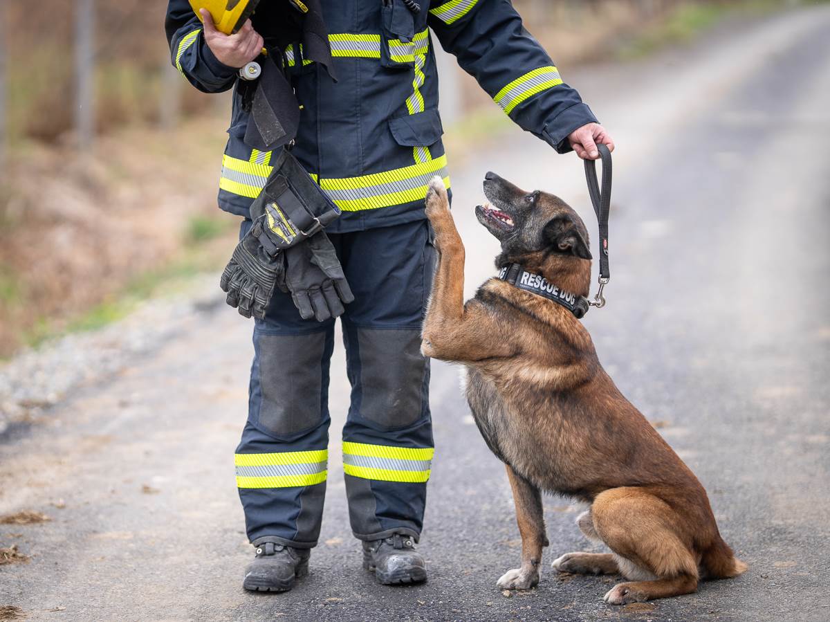 Spasilački pas Zigi i Mili Radojević (8).jpg