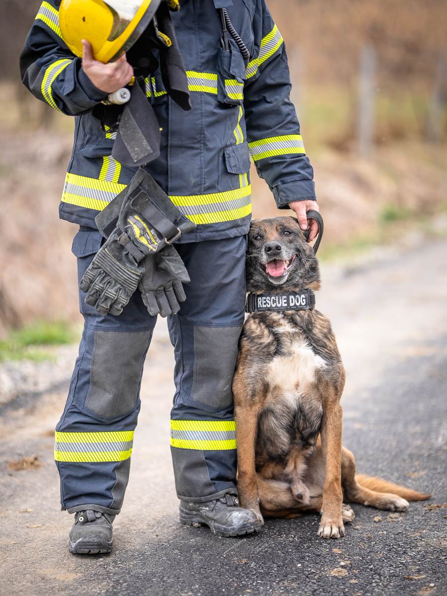 Spasilački pas Zigi i Mili Radojević (10).jpg