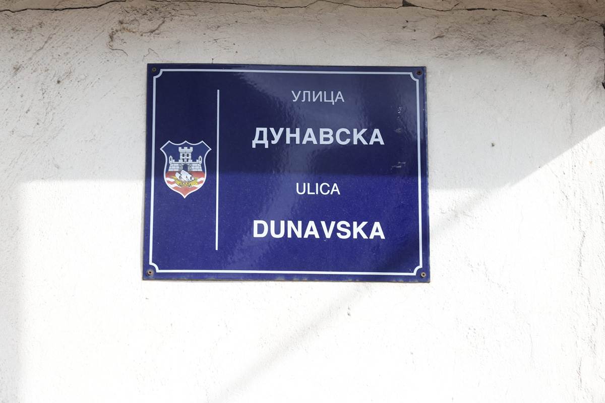 Hronika Dorcol, Dunavska- Dobracina (izbodena dva mladica) (7) copy.jpg