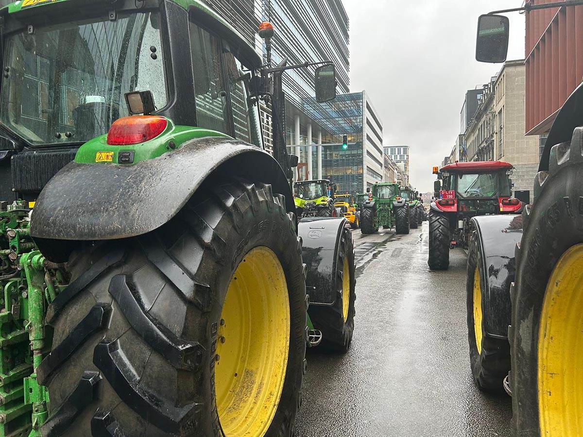 IMG-20240226-WA0085 copy.jpg