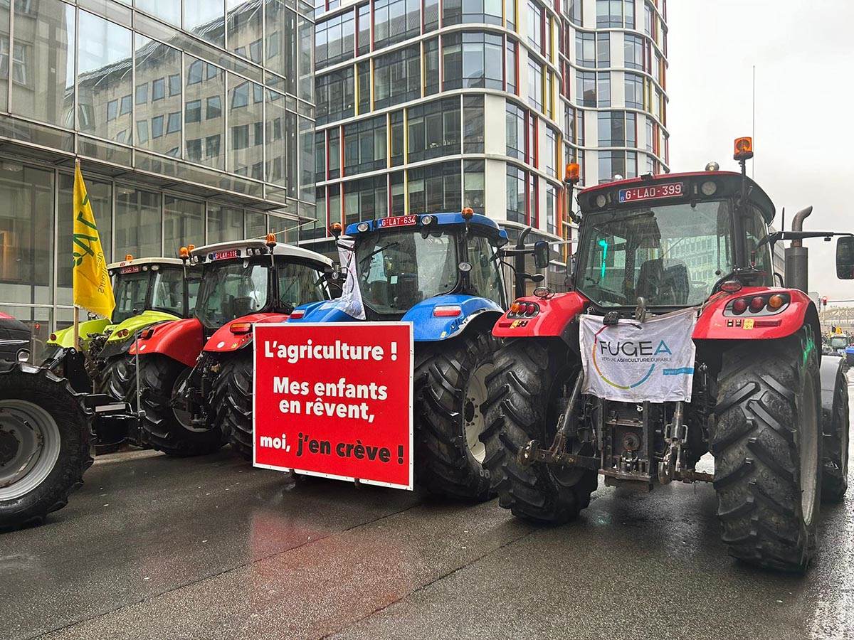 IMG-20240226-WA0087 copy.jpg