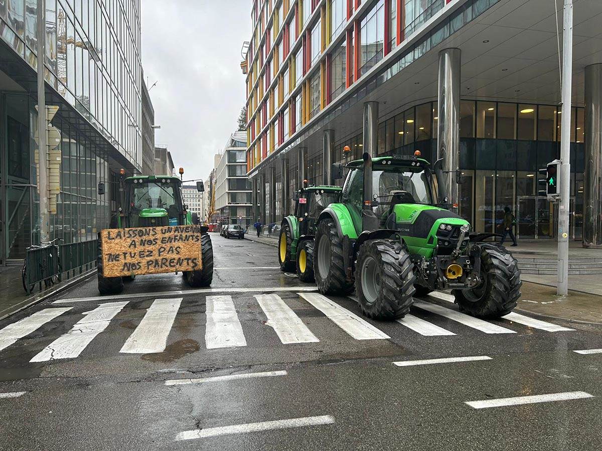 IMG-20240226-WA0088 copy.jpg