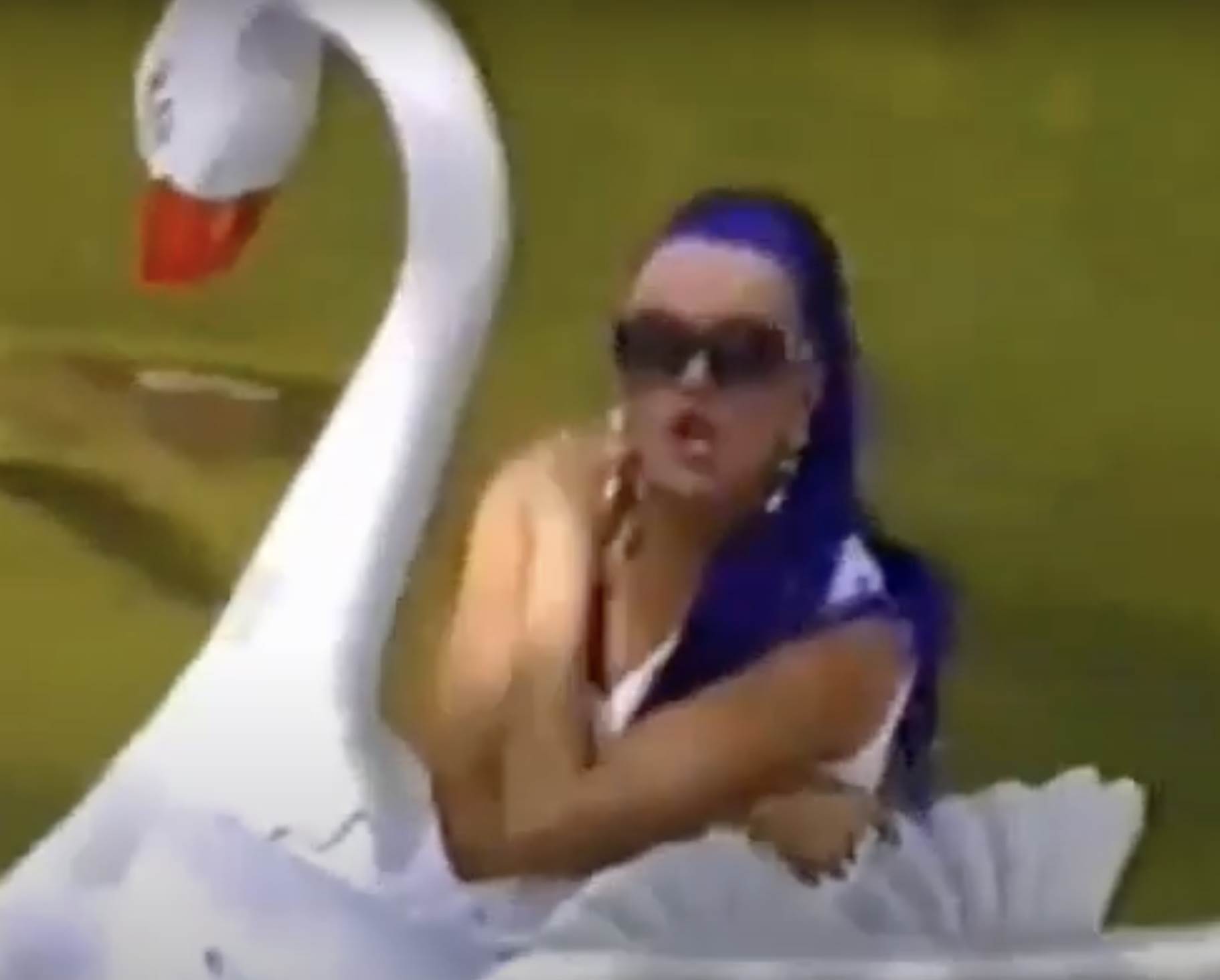 buba miranovic 6.png