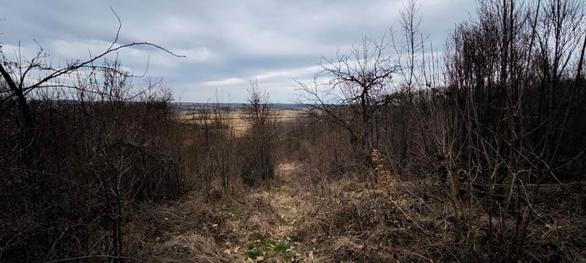 Prodaja kuća i placeva (9).jpg