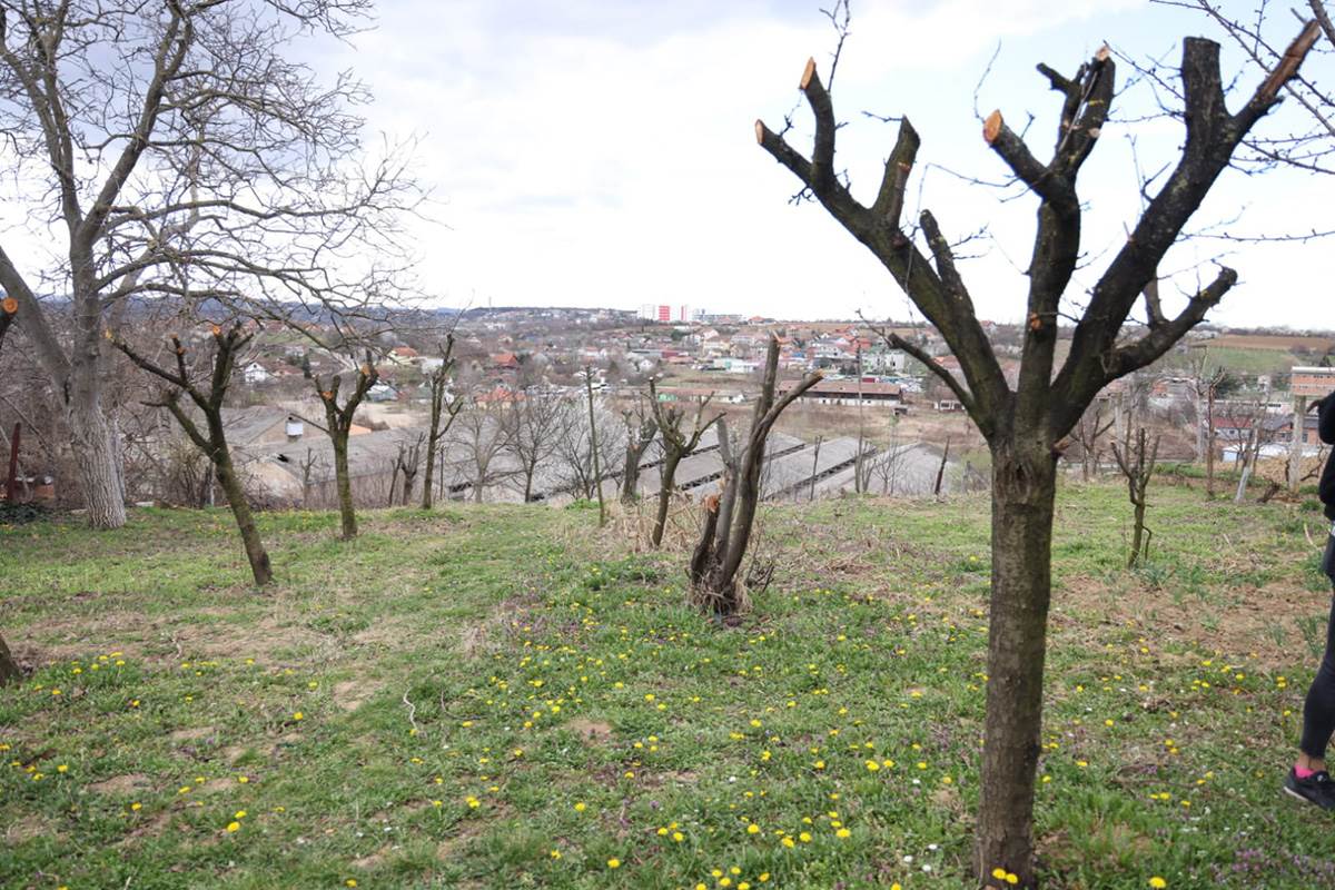 Policijska uprava Novi Sad (8).jpg