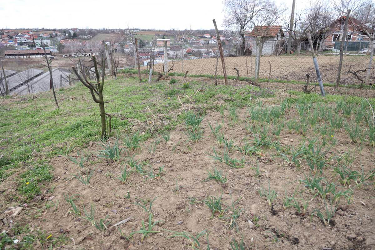 Policijska uprava Novi Sad (10).jpg