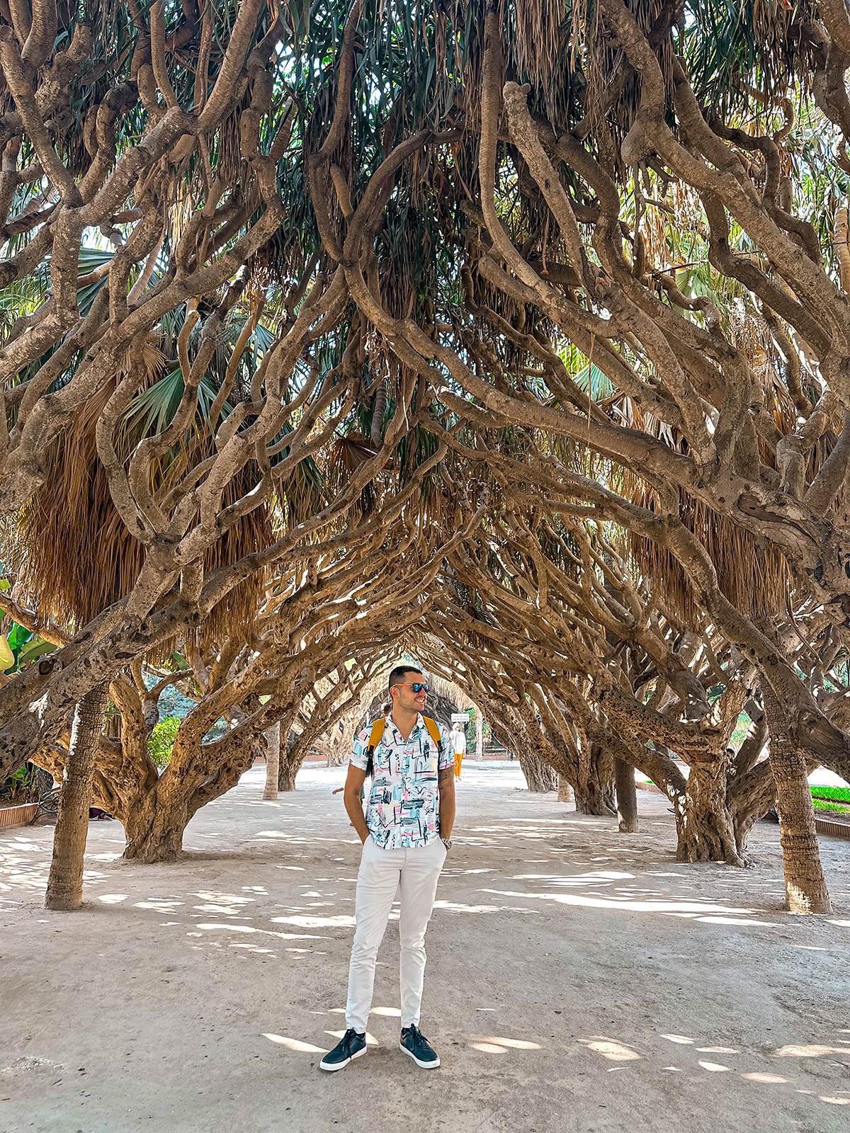 lutajuci putnik (20).jpg