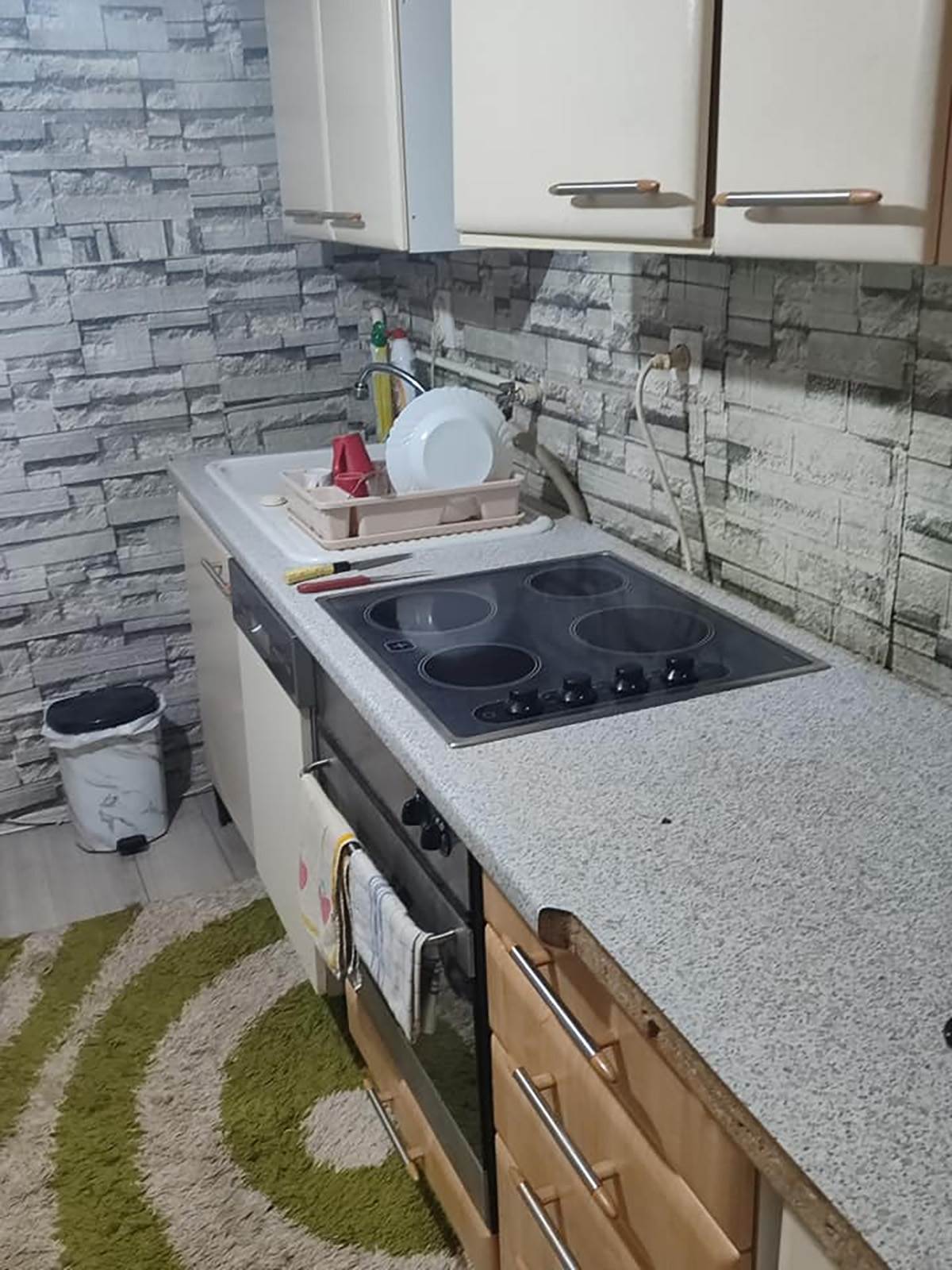 Kuca u Banatskom Dvoru  (4).jpg