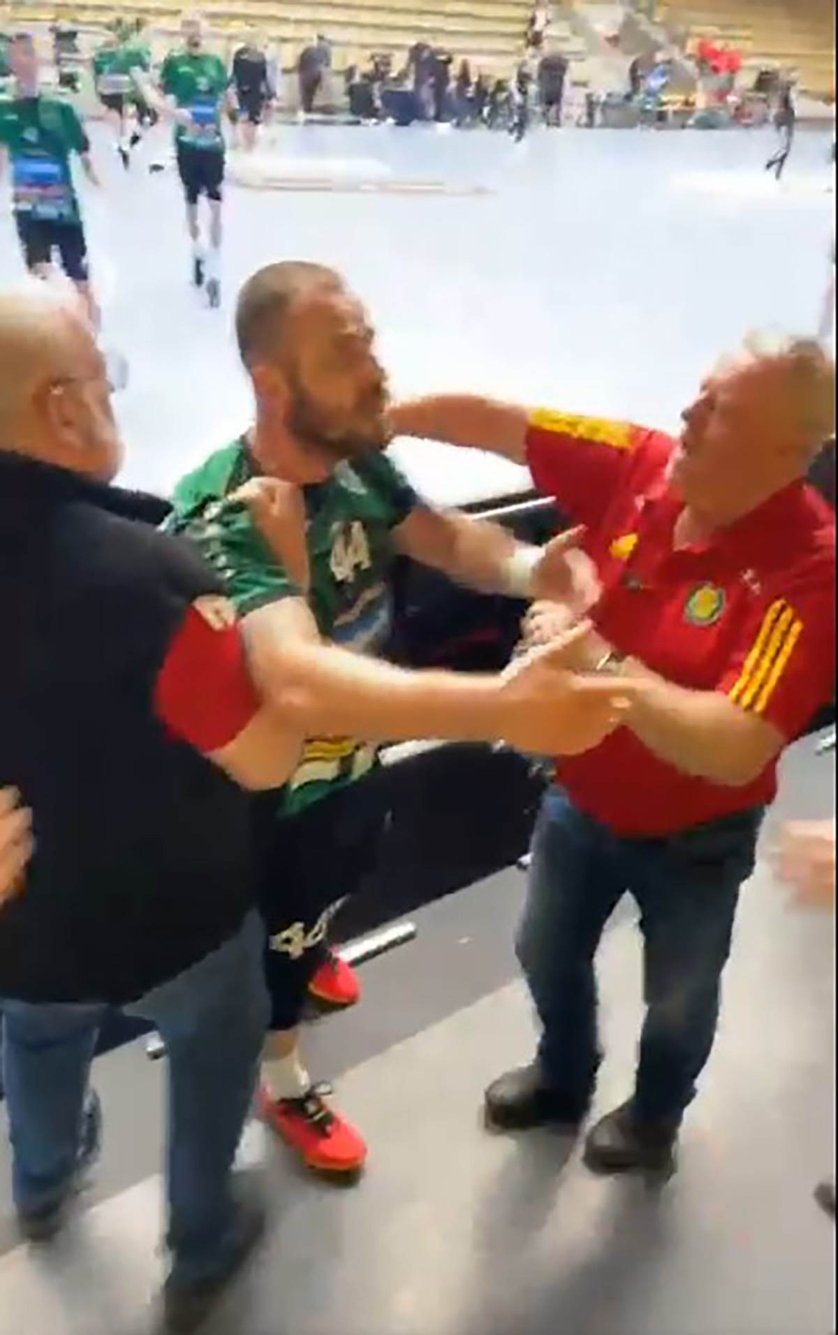 Fahrudin Melić (6).jpg