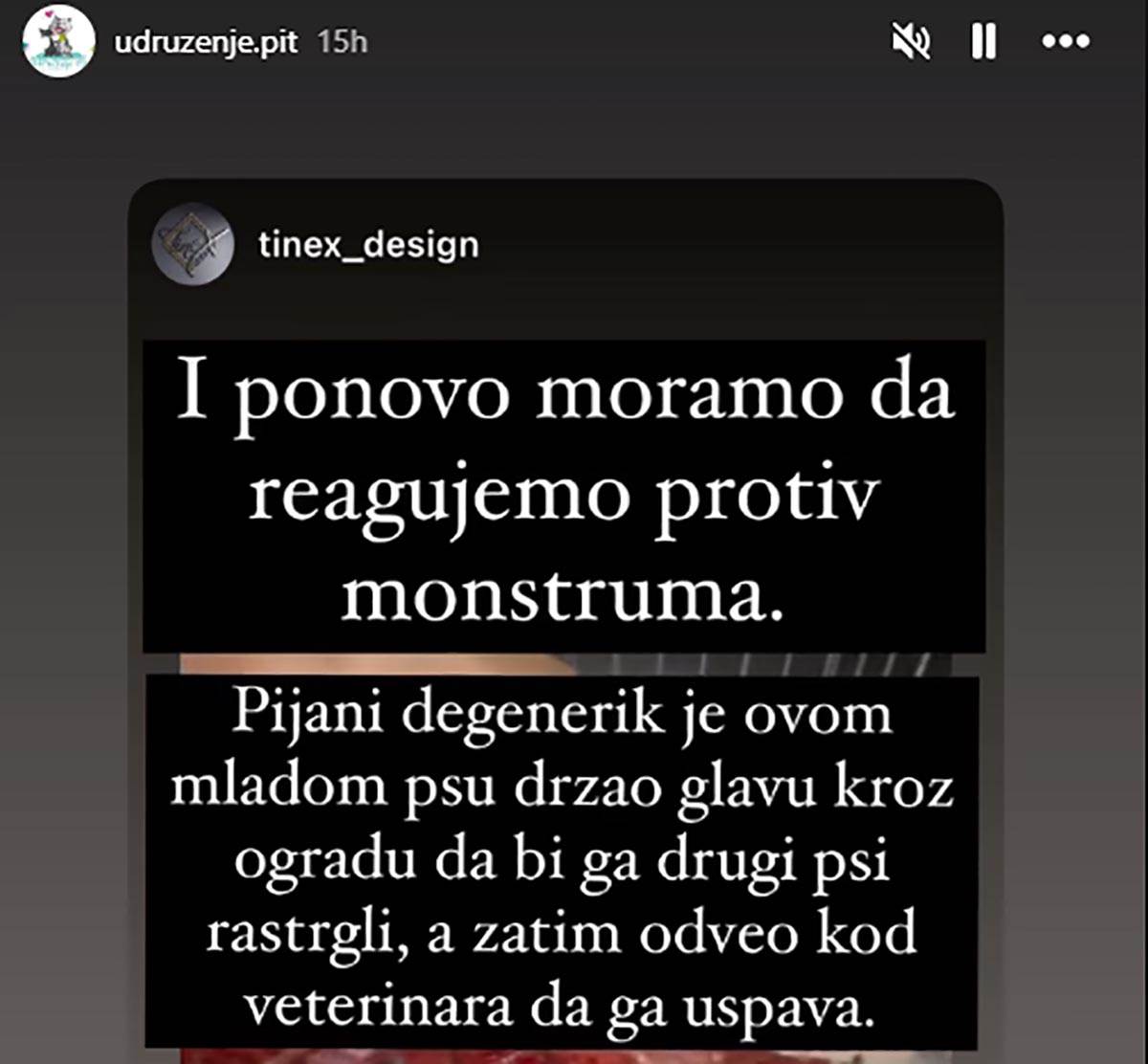 Jelena Karleuša platila operaciju unakaženom psu