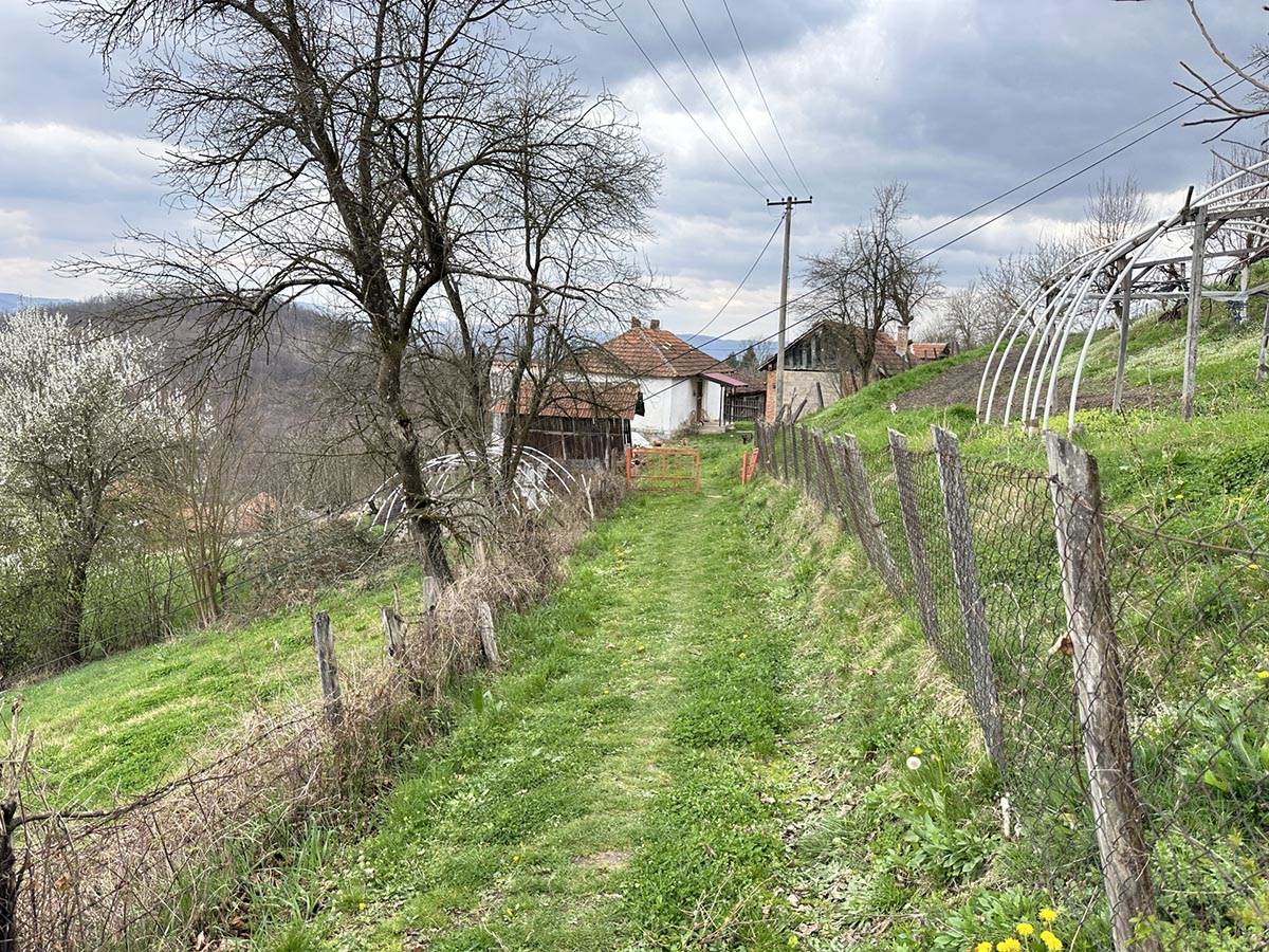 Žena ubila muža (4).jpg